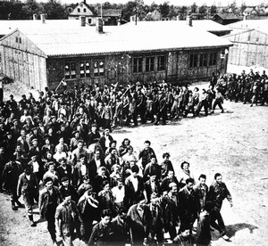 1951 Směna míru